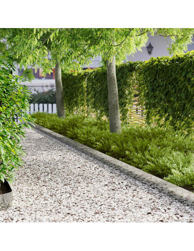 Bordura per Prato 20 pcs 103 x 15 cm Acciaio Argento