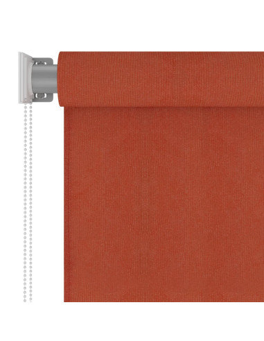 Tenda a Rullo per Esterni 220x230 cm Terracotta HDPE