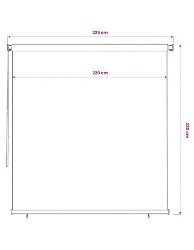 Tenda a Rullo per Esterni 220x230 cm Terracotta HDPE