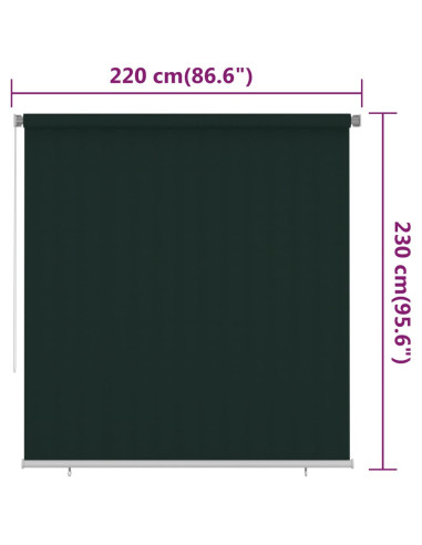 Tenda a Rullo per Esterni 220x230 cm Verde Scuro HDPE