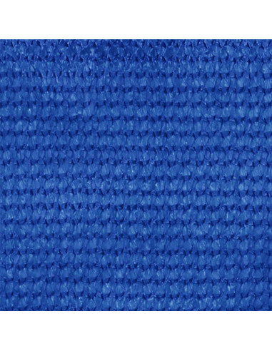 Tenda a Rullo per Esterni 300x140 cm Blu HDPE