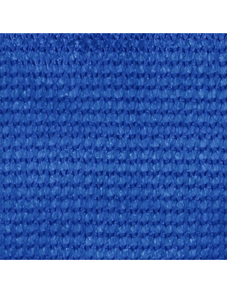 Tenda a Rullo per Esterni 300x140 cm Blu HDPE
