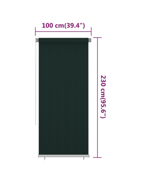 Tenda a Rullo per Esterni 100x230 cm Verde Scuro HDPE