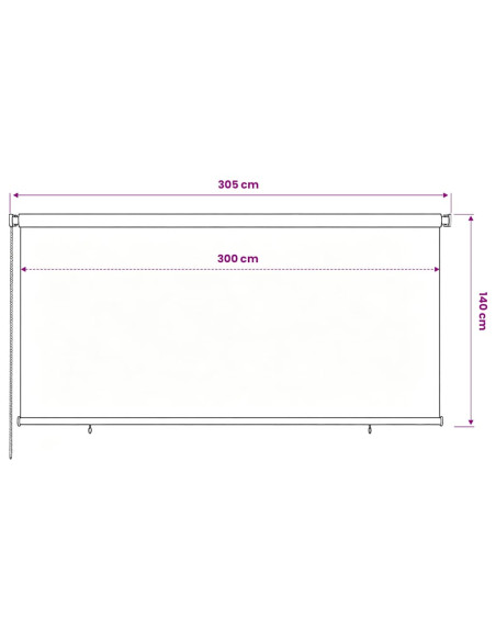 Tenda a Rullo per Esterni 300x140 cm Marrone HDPE