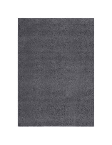 Tappeto Soffice Pelo Corto 160x230 cm Antiscivolo Antracite