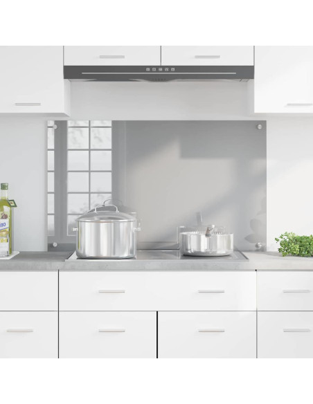 Schienale da cucina Grigio chiaro 100 x 60 cm vetro temperato