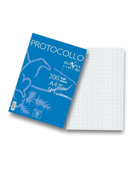 RISMA DA 200 FG PROTOCOLLO 5M 80GR