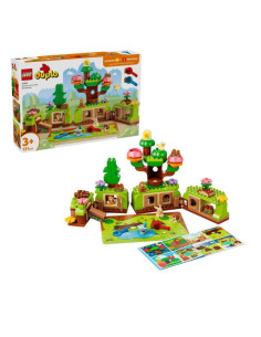 FORESTA ESPLORAT ANIMALI SELVATICI 2