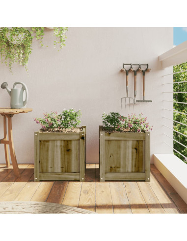 Fioriere da Giardino 2 pz in Legno di Pino Impregnato