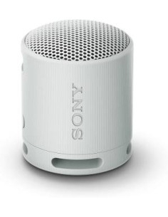 Sony SRS-XB100 Speaker Wireless Bluetooth Grigio