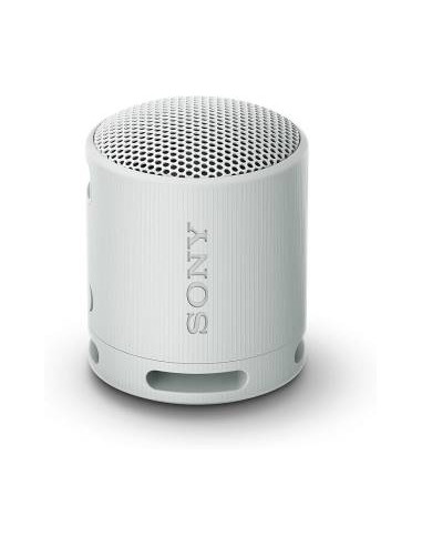 Sony SRS-XB100 Speaker Wireless Bluetooth Grigio