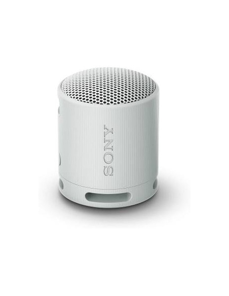 Sony SRS-XB100 Speaker Wireless Bluetooth Grigio