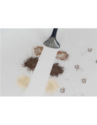 SPOT CLEANER HS530 011