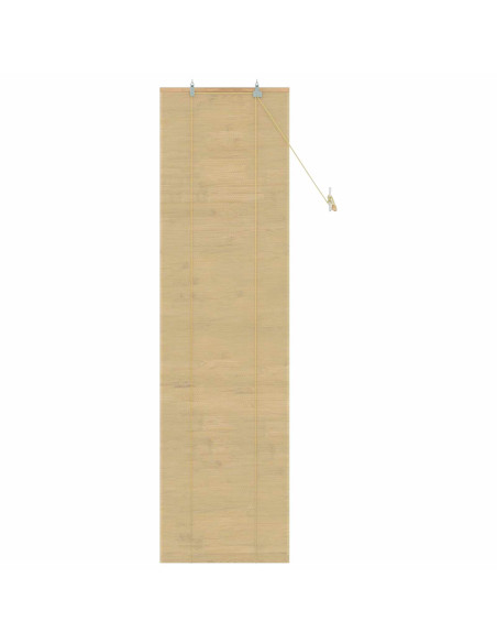 Tenda a rullo Naturale 70 x 220 cm Bambù