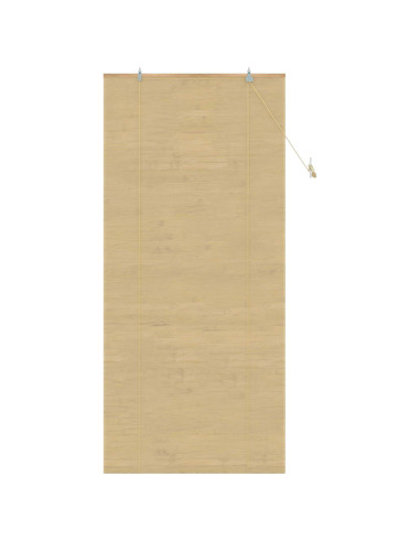 Tenda a rullo Naturale 80 x 220 cm Bambù