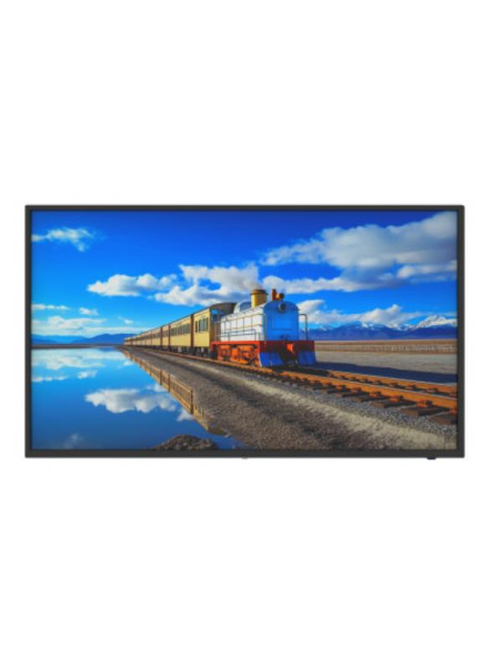 MONITOR 55 4K 24/7 500CD ANDROID 11