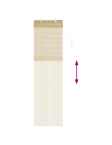 Tenda a rullo Naturale 40 x 220 cm Bambù