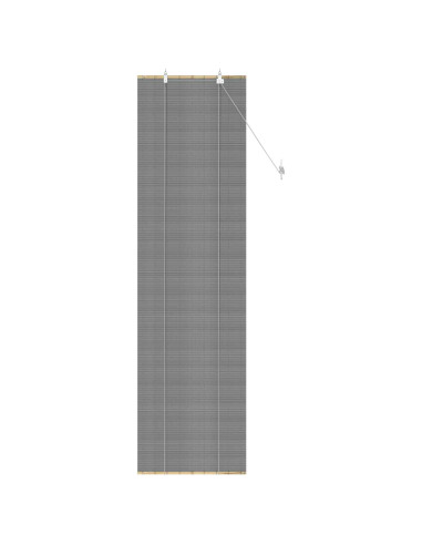 Tenda a rullo Grigio 50 x 220 cm Bambù