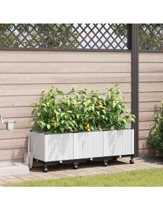Vaso da Giardino con Irrigazione e Ruote 3 pz Bianco PP