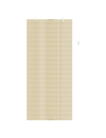 Tenda a rullo Naturale 110 x 220 cm Bambù