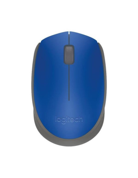 M171 BLUE