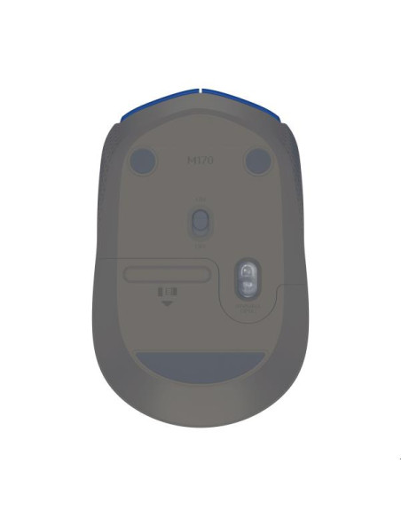 M171 BLUE
