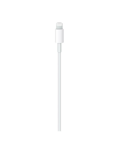 USB-C TO LIGHTNING CABLE (2 M)