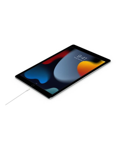 USB-C TO LIGHTNING CABLE (2 M)