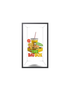 SPACIAL DISPLAAY SM32HX