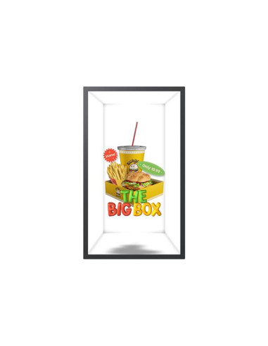 SPACIAL DISPLAAY SM32HX