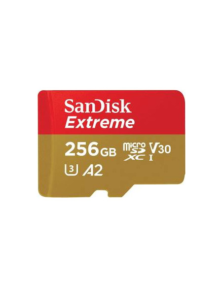 EXTREME MICROSDXC 256GB+SD
