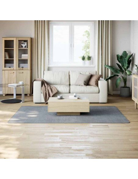 Tappeto Soffice a Pelo Corto 160x230 cm Antiscivolo Grigio