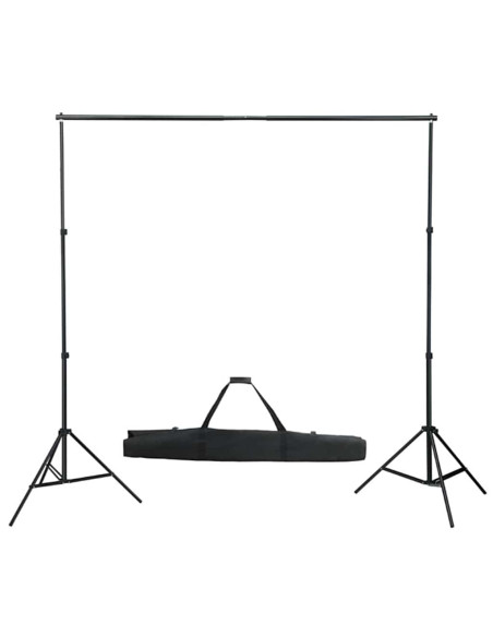 Kit per Studio Fotografico con Set di Luci e Fondale