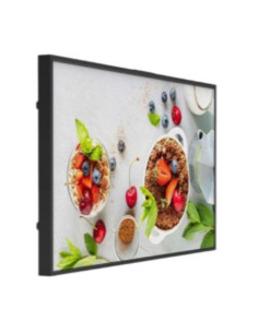 MONITOR 55 3000 NIT ALTA LUM INDOOR