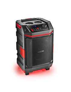 NGS WILD BASH: ALTOPARLANTE PREMIUM PORTATILE DA 300W COMPATIBILE CON TECNOLOGIA BLUETOOTH/USB/AUX.