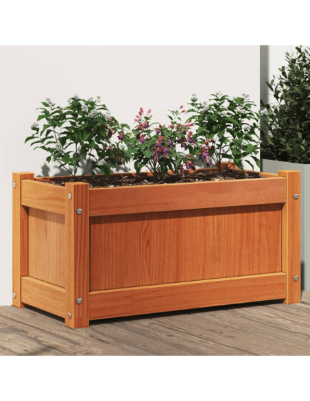 Fioriera Giardino Marrone Cera 60x31x31 cm Legno Massello Pino