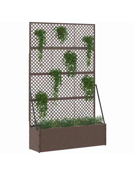 Fioriera a traliccio da giardino Marrone 105 x 30 x 170 cm