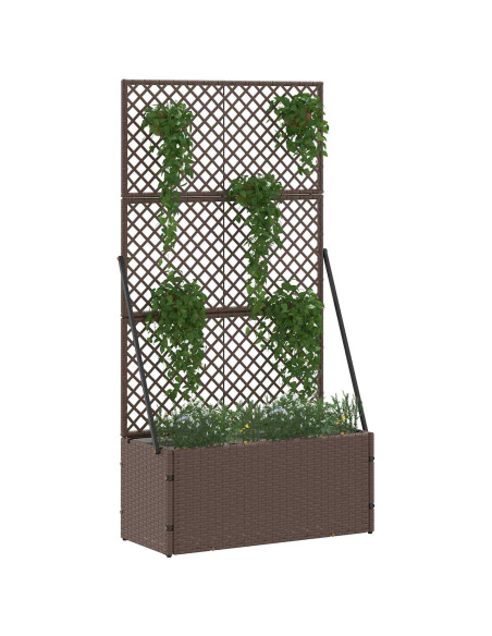 Fioriera a traliccio da giardino Marrone 70 x 30 x 135 cm