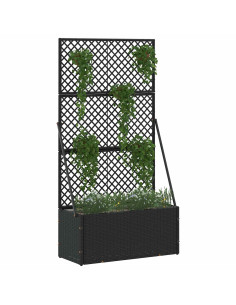 Fioriera a traliccio da giardino Nero 70 x 30 x 135 cm Metallo 2