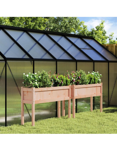 Fioriere da Giardino 2 pz con Gambe Legno Massello di Douglas