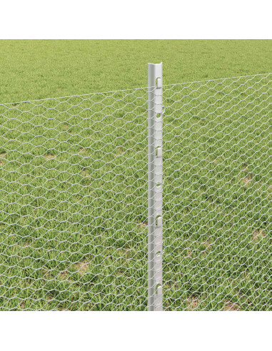 Recinzione esagonale con palo 100 x 0,6 m Acciaio zincato Rete