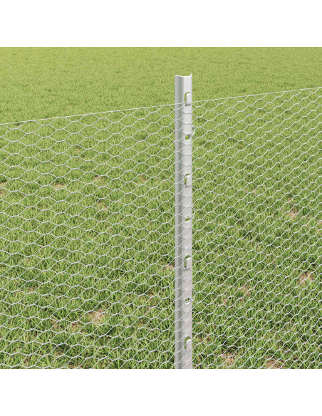 Recinzione esagonale con palo 100 x 0,6 m Acciaio zincato Rete