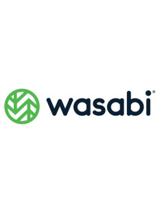 WASABI RCS 175TB 4 YEARS