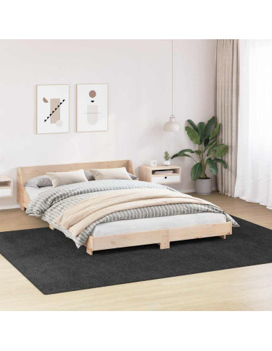 Tappeto Shaggy Antiscivolo Grigio scuro 240 x 340 cm PP