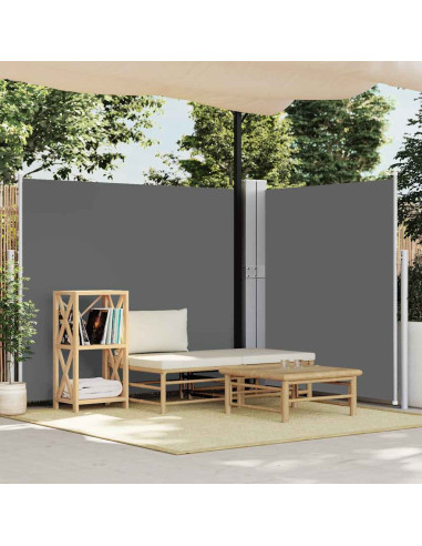 Tenda Laterale Retrattile per Patio 170x1200 cm Antracite