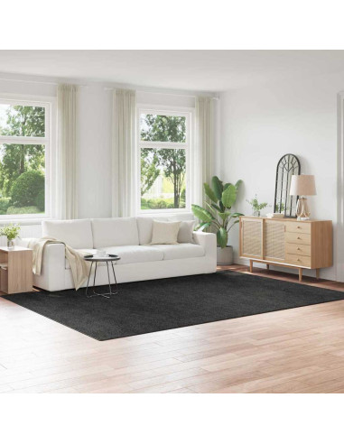 Tappeto Shaggy Antiscivolo Grigio scuro 240 x 340 cm PP