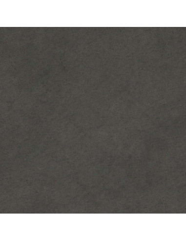 Divano a 2 Posti Cuscini Grigio Scuro 140cm Tessuto Microfibra