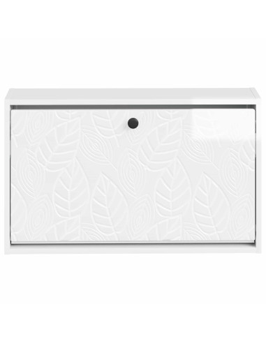 Mobiletto per Scarpe da Muro DELFT 71 x 17 x 43 cm