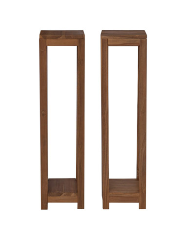 Supporto per piante 2 pz Naturale 25 x 25 x 100 cm
