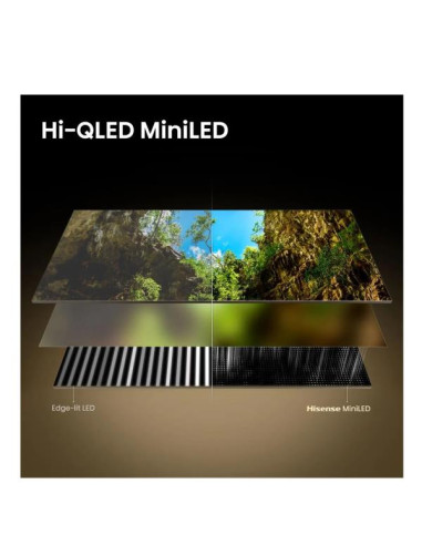 100 U7SE MINI LED 4K UHD VIDAA 165H